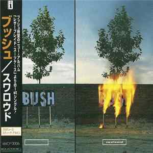 Bush - Swallowed FLAC