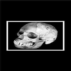 Subsist - Crisis FLAC