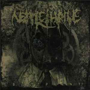 Nettlethrone - Blueprint FLAC