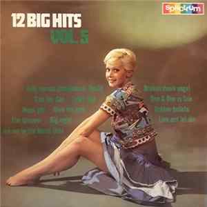 The Hit-Hikers - 12 Big Hits Vol. 5 FLAC