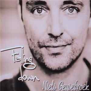 Niels Geusebroek - Falling Down FLAC