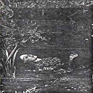 Belief - The Lost Cause FLAC