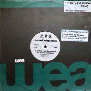Me'Shell Ndegéocello - If That's Your Boyfriend (He Wasn't Last Night) FLAC