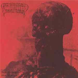 Persistence In Mourning - The Undead Shall Rise FLAC