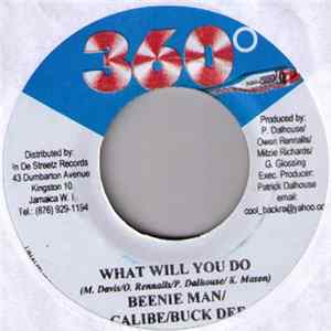 Beenie Man / Calibe / Buck Dee - What Will You Do FLAC