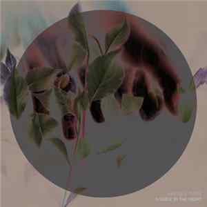 Brusque Twins - A Voice In The Night FLAC