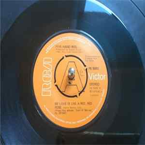 Five Hand Reel - My Love Is Like A Red, Red Rose FLAC