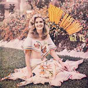 Various - Super Bailable Vol.15 FLAC