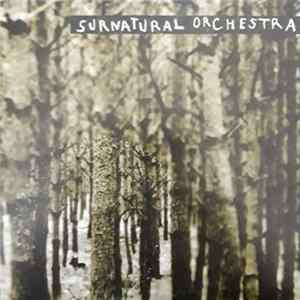 Surnatural Orchestra - Eh! Machine FLAC