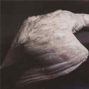 Amenra - Mass VI FLAC