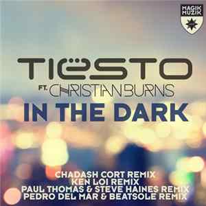 Tiësto Ft. Christian Burns - In The Dark FLAC