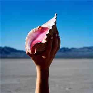The Killers - Wonderful Wonderful FLAC