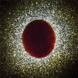 Insub Meta Orchestra - Archive #1 FLAC