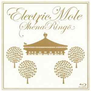 Shiina Ringo - Electric Mole FLAC