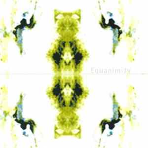 Various - Equanimity FLAC