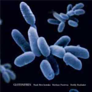 Nusch Werchowska / Mathias Pontevia / Heddy Boubaker - Glotosifres FLAC