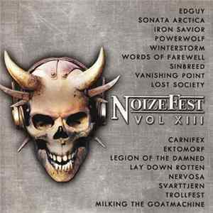 Various - Noizefest Vol. XIII FLAC