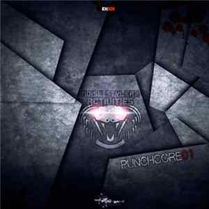 Noise Stylerz Activities - Punchcore01 FLAC