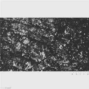 Notzing - Oniro FLAC