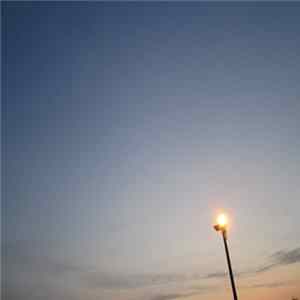 Tomoaki Soma - A Nest Of Swallow FLAC