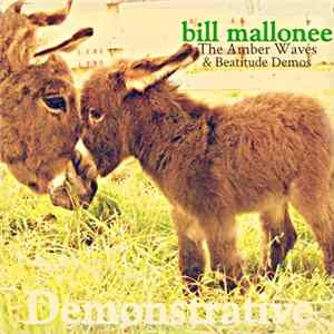 Bill Mallonee - Demonstrative (The Amber Waves & Beatitude Demos) FLAC