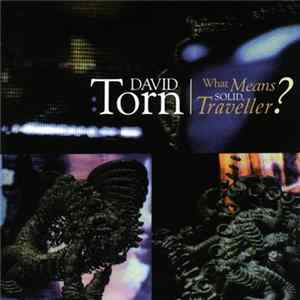 David Torn - What Means Solid, Traveller? FLAC