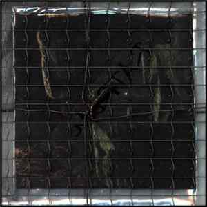 Mortar - Ancient Rites FLAC