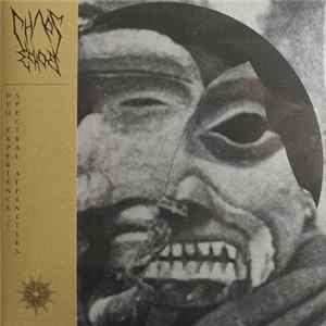 Chaos Echoes - Duo Experience / Spectral Affinities FLAC
