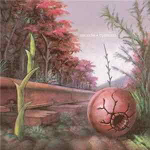 Secede - Tryshasla FLAC