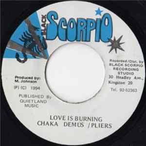 Chaka Demus & Pliers - Love Is Burning FLAC