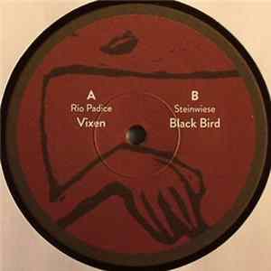 Rio Padice & Steinwiese - Vixen / Black Bird FLAC