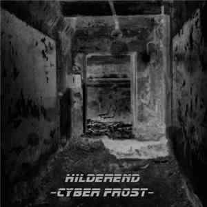 Hilderend - Cyber Frost FLAC