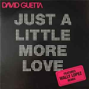 David Guetta Featuring Chris Willis - Just A Little More Love FLAC