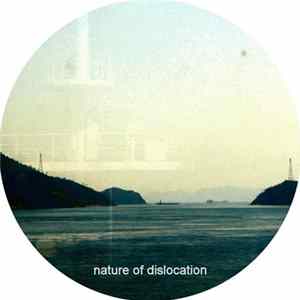 Nature Of Dislocation - Elements FLAC