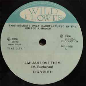 Big Youth / Negus Nagast All Stars - Jah Jah Love Them / In The Oven Baking FLAC