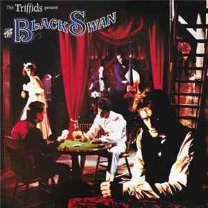 The Triffids - The Triffids Present The Black Swan FLAC