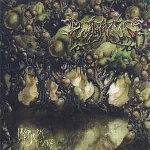 Wargus - Worm's Torture FLAC
