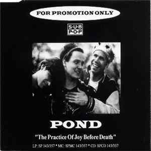 Pond - The Practice Of Joy Before Death FLAC
