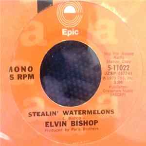 Elvin Bishop - Stealin' Watermelons FLAC