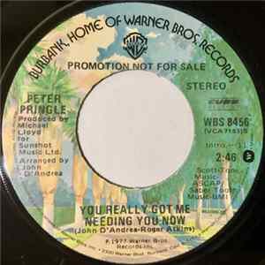 Peter Pringle - You Really Got Me Needing You FLAC