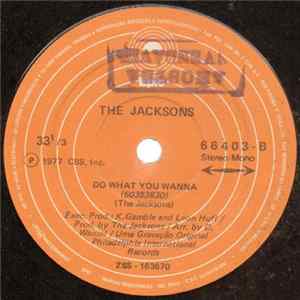 The Jacksons - Blame It On The Boogie FLAC