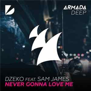 Dzeko Feat. Sam James - Never Gonna Love Me FLAC