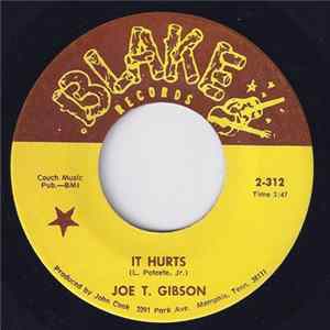 Joe T. Gibson - It Hurts FLAC