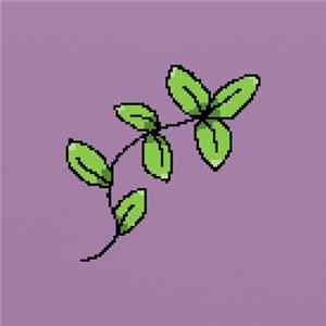 Pink Navel - BESTMORNING FLAC