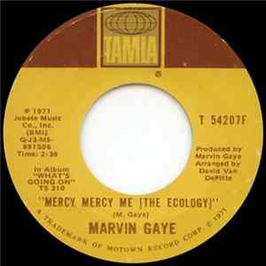 Marvin Gaye - Mercy Mercy Me (The Ecology) FLAC