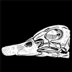 StarratS of UfotofU - #Duck Rock FLAC