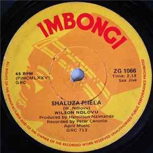 Wilson Ndlovu - Shaluza Phela / Sakkie Special No. 3 FLAC