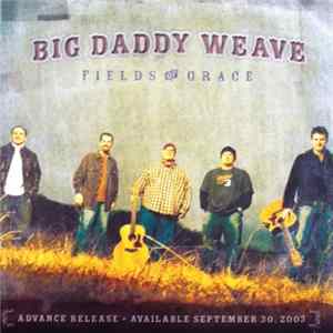 Big Daddy Weave - Fields Of Grace FLAC