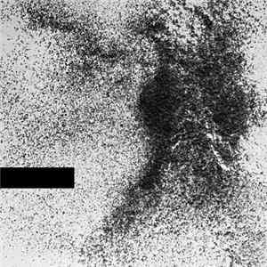 ██████ - Demo FLAC