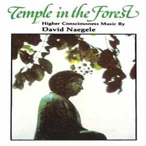 David Naegele - Temple In The Forest FLAC